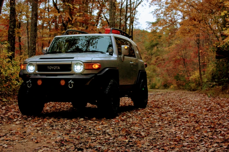 the car is traveling down a wooded path