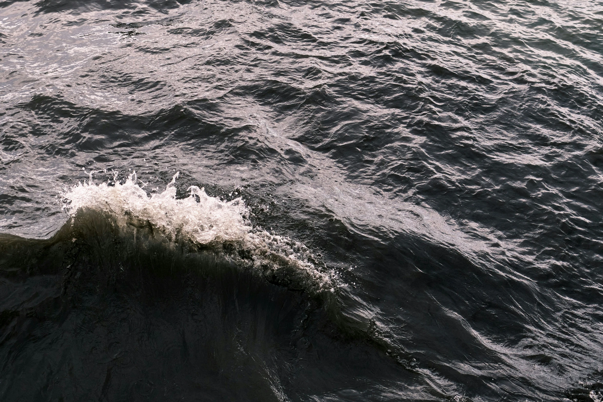 a wave coming in to the ocean on a sunny day