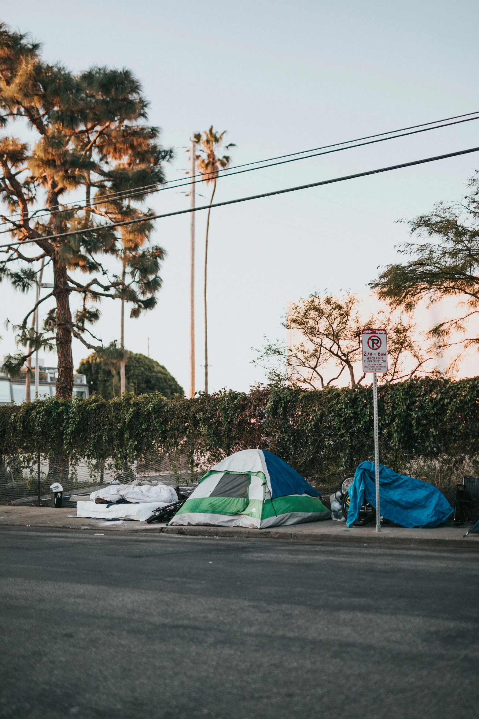 a couple of tents sitting in the street next to trees