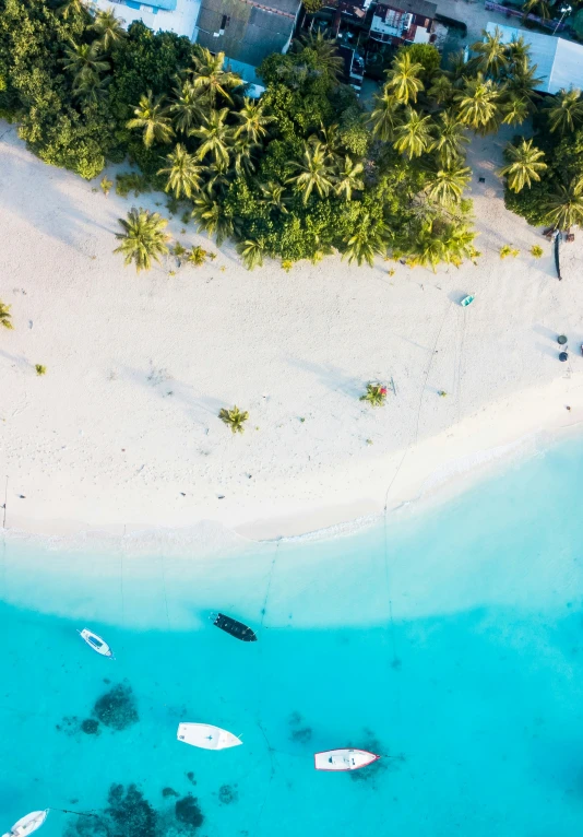 aerial view of a beach and a tropical lagoon