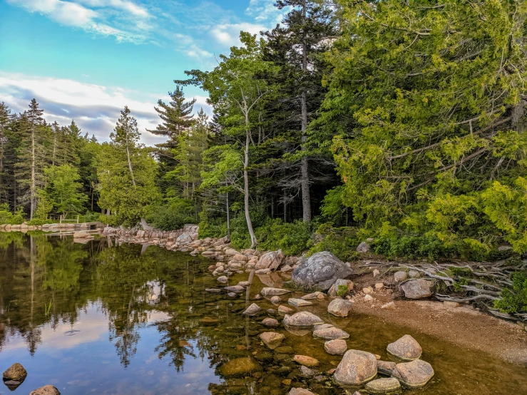 trees and water near the edge of a large lake