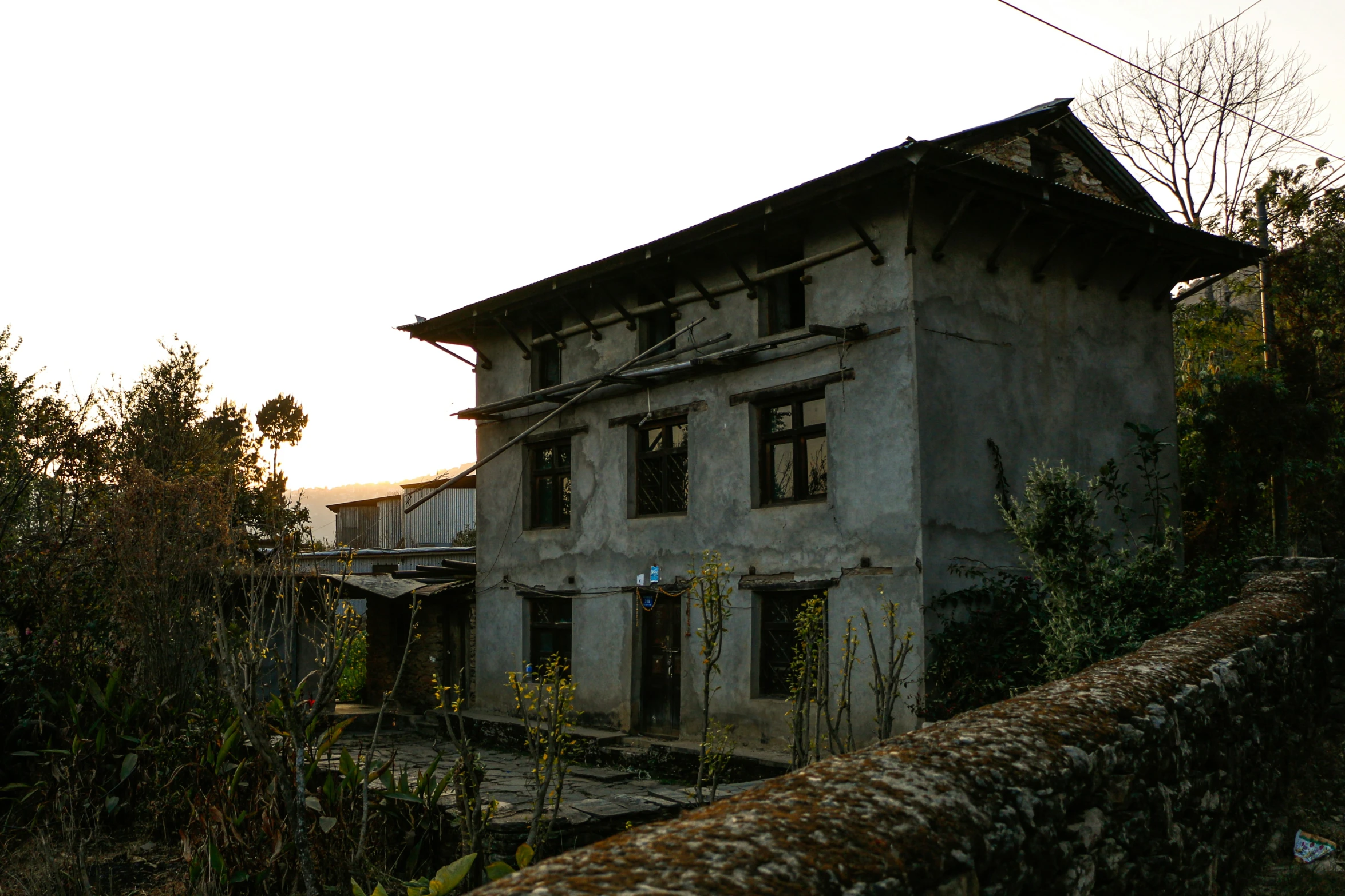 a building with plants and bushes growing by it