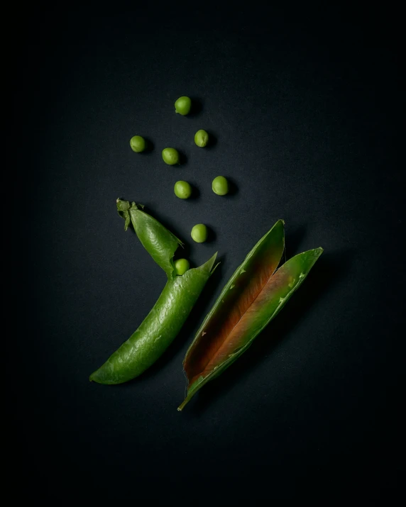 pea pod and pod with seeds on a dark background