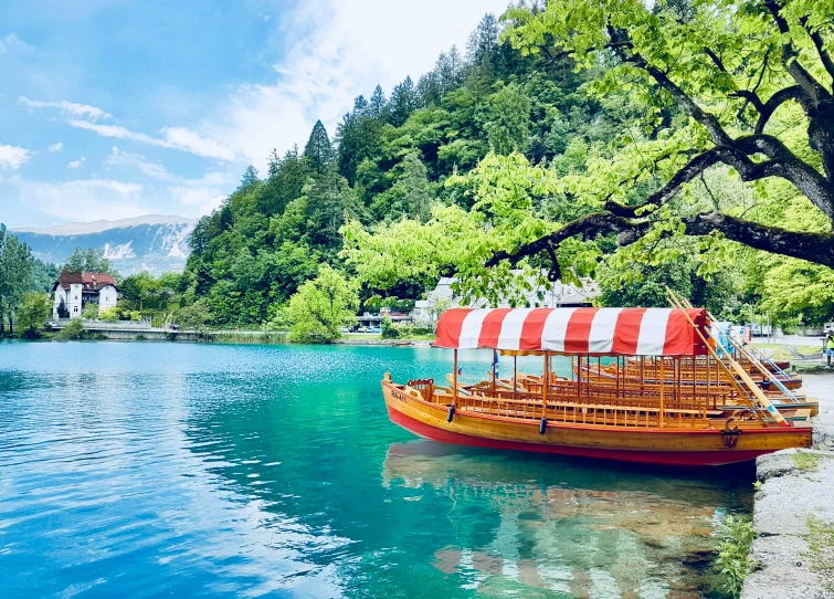 a long boat on the water near some trees