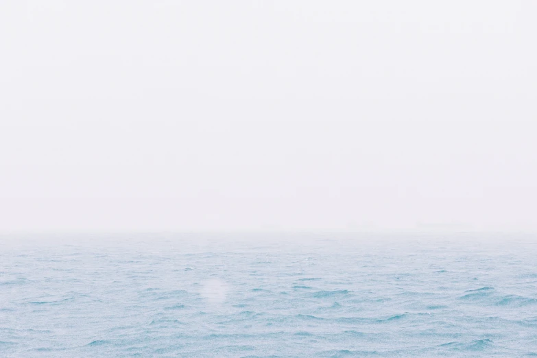 a lone bird floating in the middle of the ocean