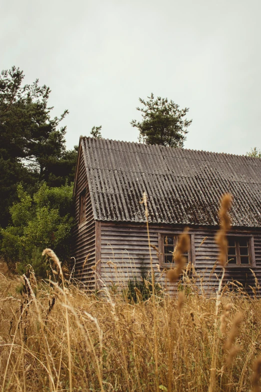 a old house sitting in the middle of some tall grass