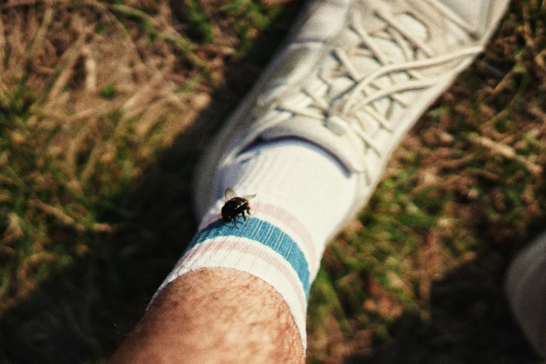 a close up of someone's arm with a small insect on it