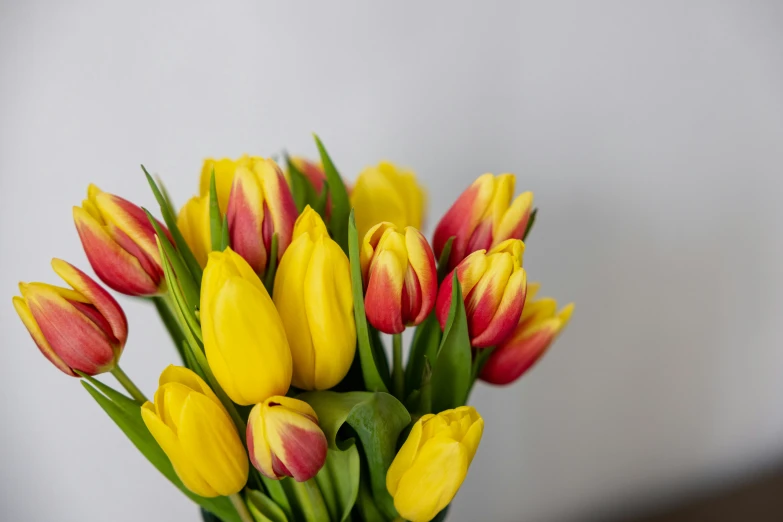 bouquets of multicolored tulips in a vase on a table