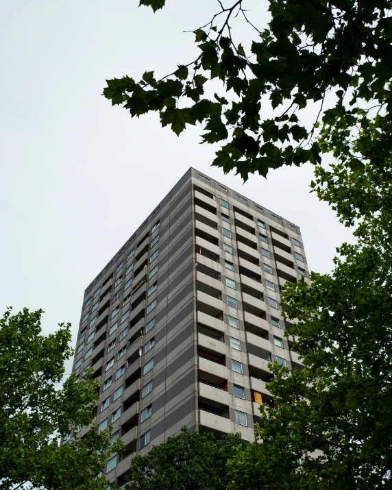 a tall building stands near the tree tops