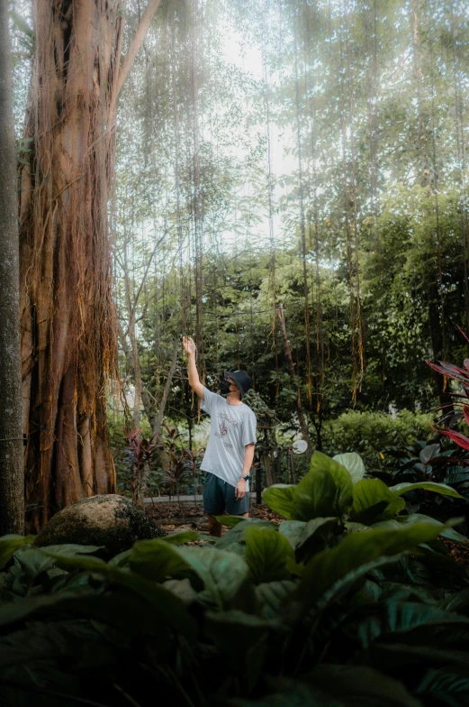 a man standing near a big tree in the woods