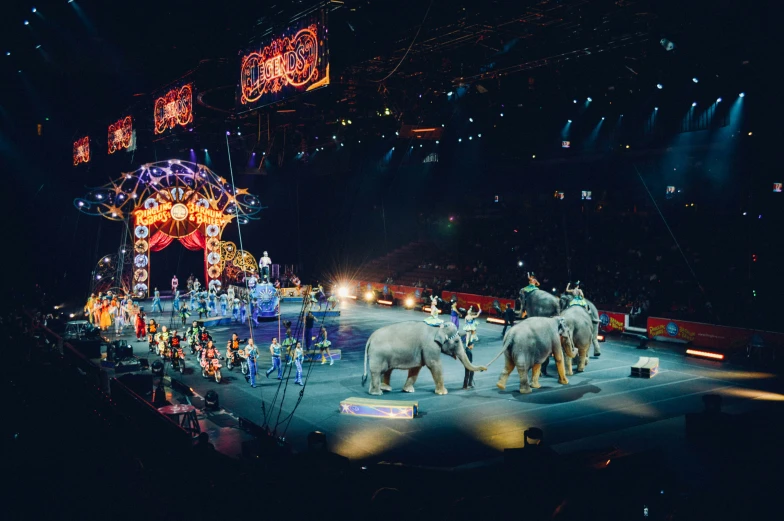 elephants perform at a circus surrounded by fans