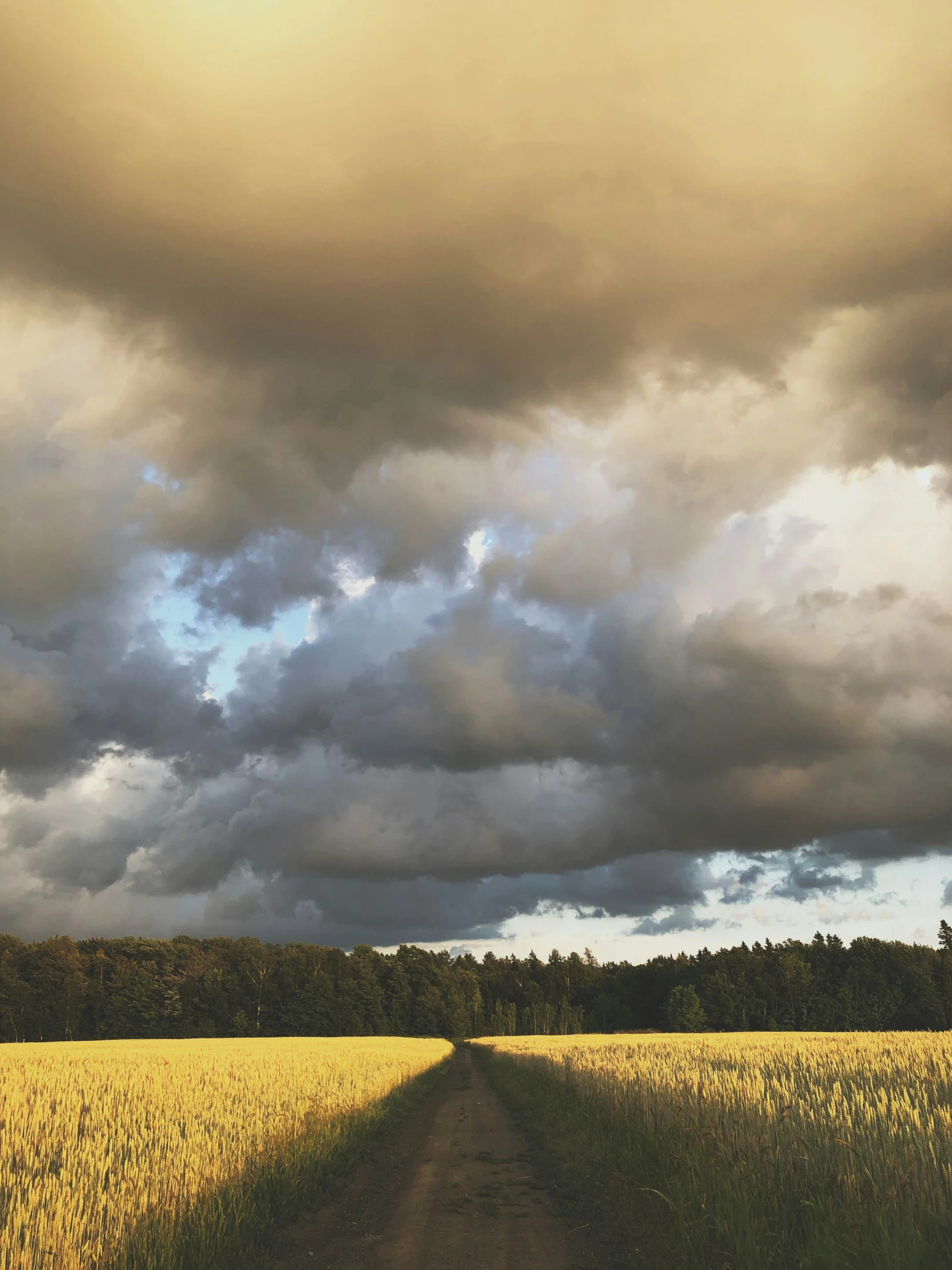 a dirt road and field under cloudy skies