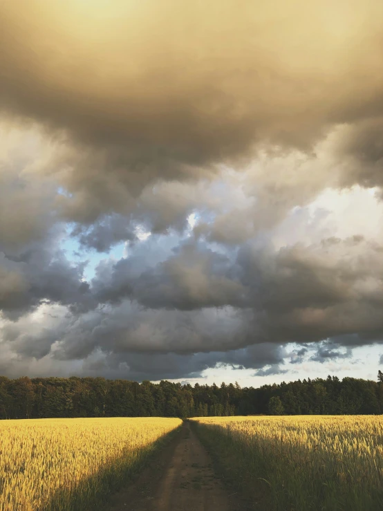 a dirt road and field under cloudy skies