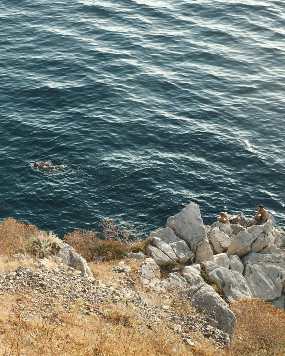 the dog is standing on the rocky ledge by the water