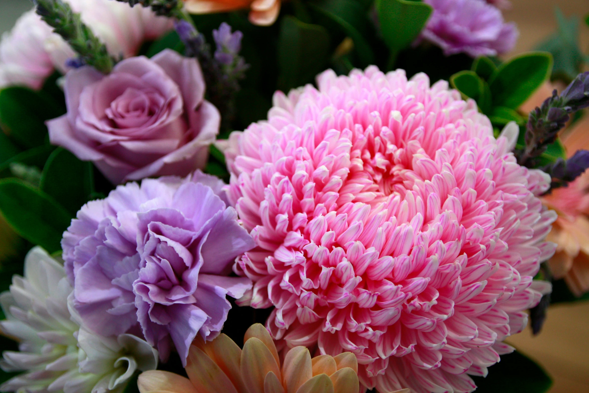 a group of flowers that are on display