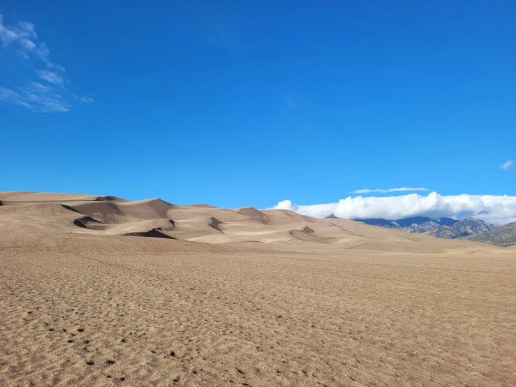 a horse is walking in the sand on a sunny day