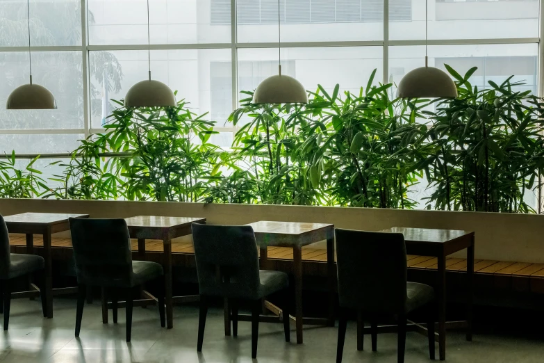 an indoor meeting area with large windows and chairs