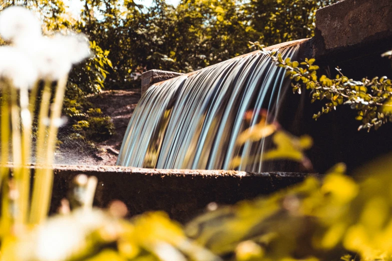 small waterfall surrounded by plants and trees on a sunny day