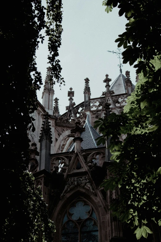 looking up at a church with towers through trees