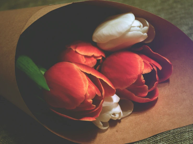 flowers sit in a box, waiting to be opened