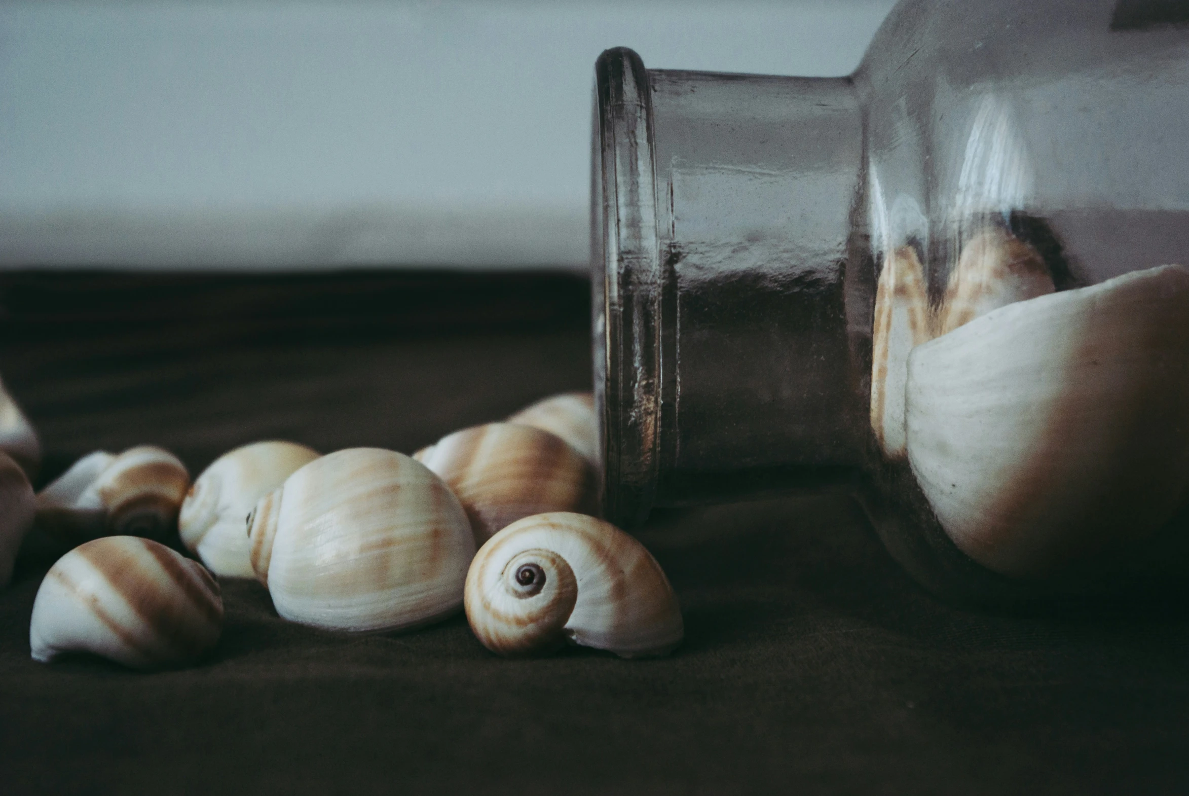 two bottles filled with sea shells on top of a bed