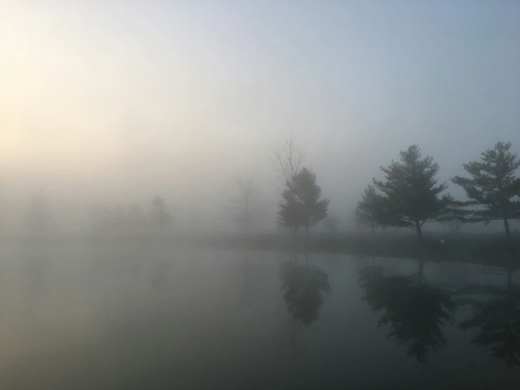 trees and water are reflected in the fog