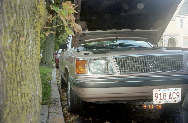 a old brown mercedes parked under a tree