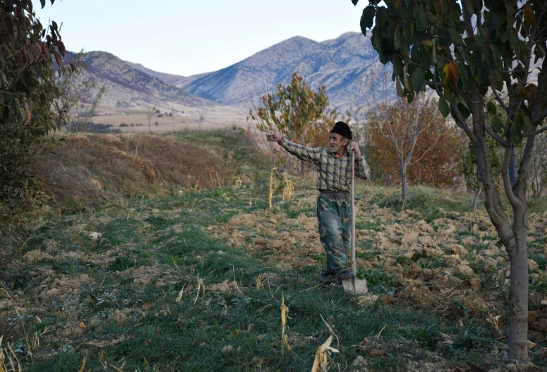 a person stands in the grass with a pair of scissors near a tree