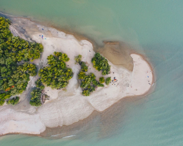 an aerial view of several sandy, forested areas