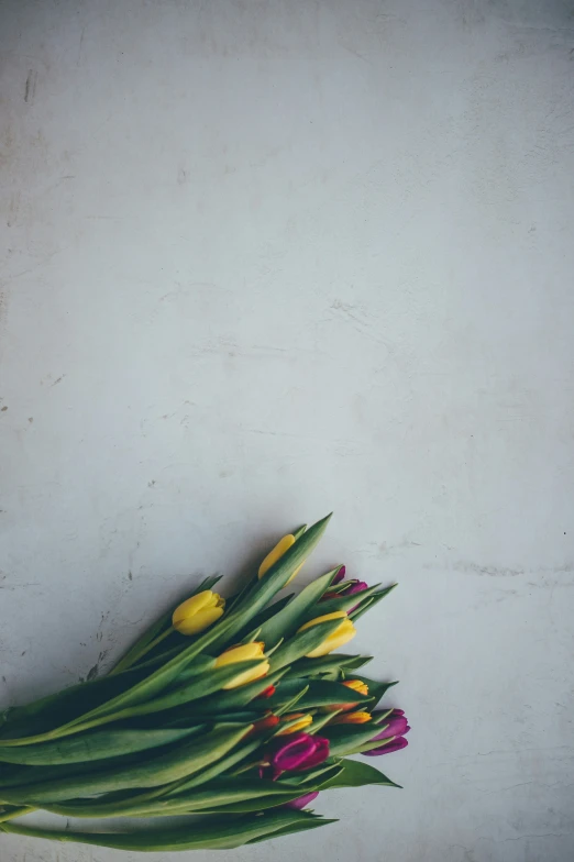 a bunch of tulips are laid out on the ground