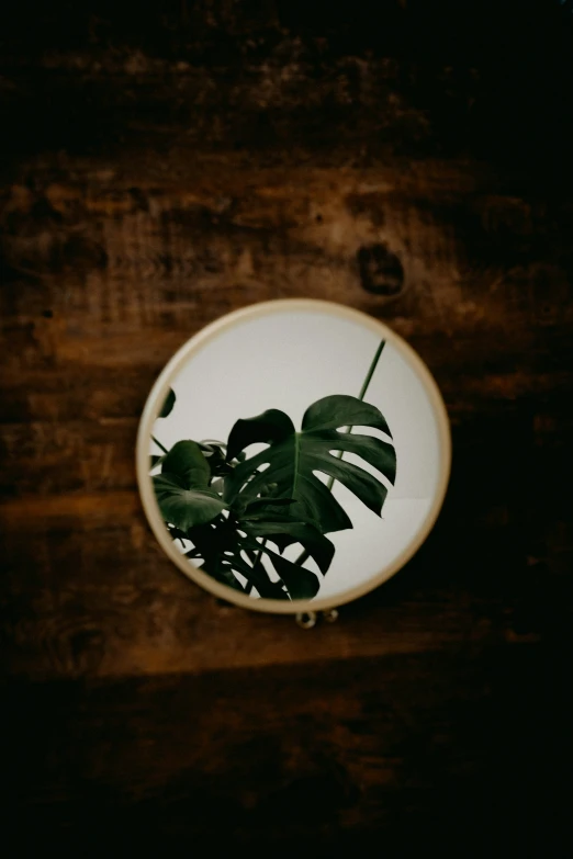 a white plate sitting on top of a wooden table