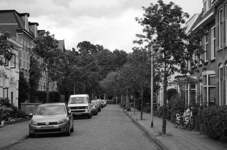 a city street lined with trees and bikes