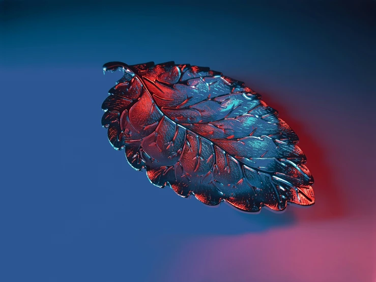 a red leaf hanging from the side of a blue background