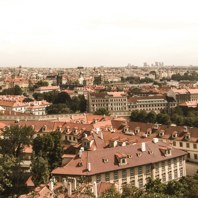 red roofs on white buildings and trees in a city