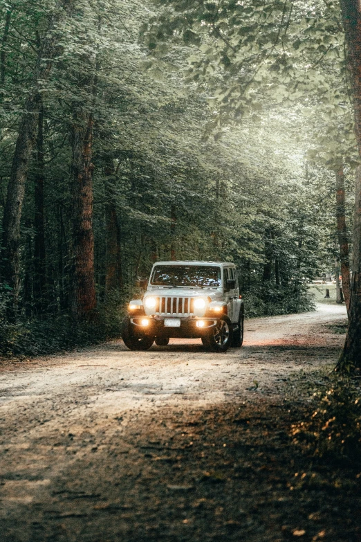 a jeep is riding down the road in the woods