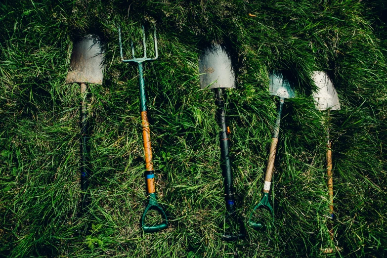 a group of tools in the grass