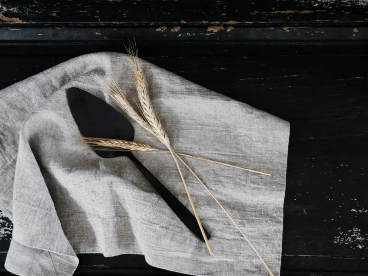 a spoon sitting on top of a napkin next to grain