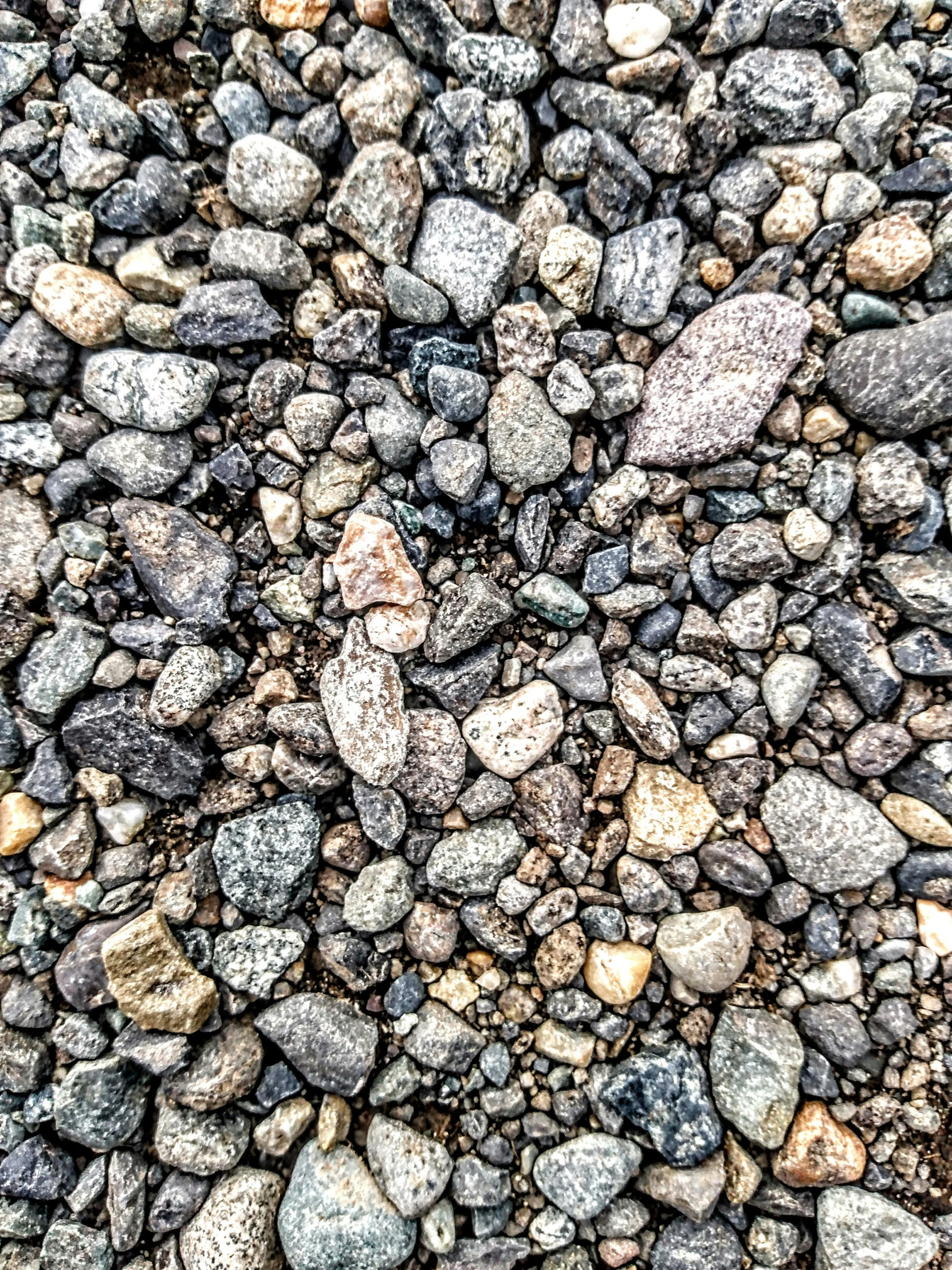 a background with rocks and pebbles close to the ground