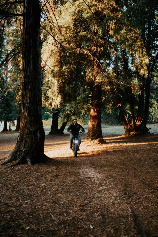 a person riding a motorcycle in a forest