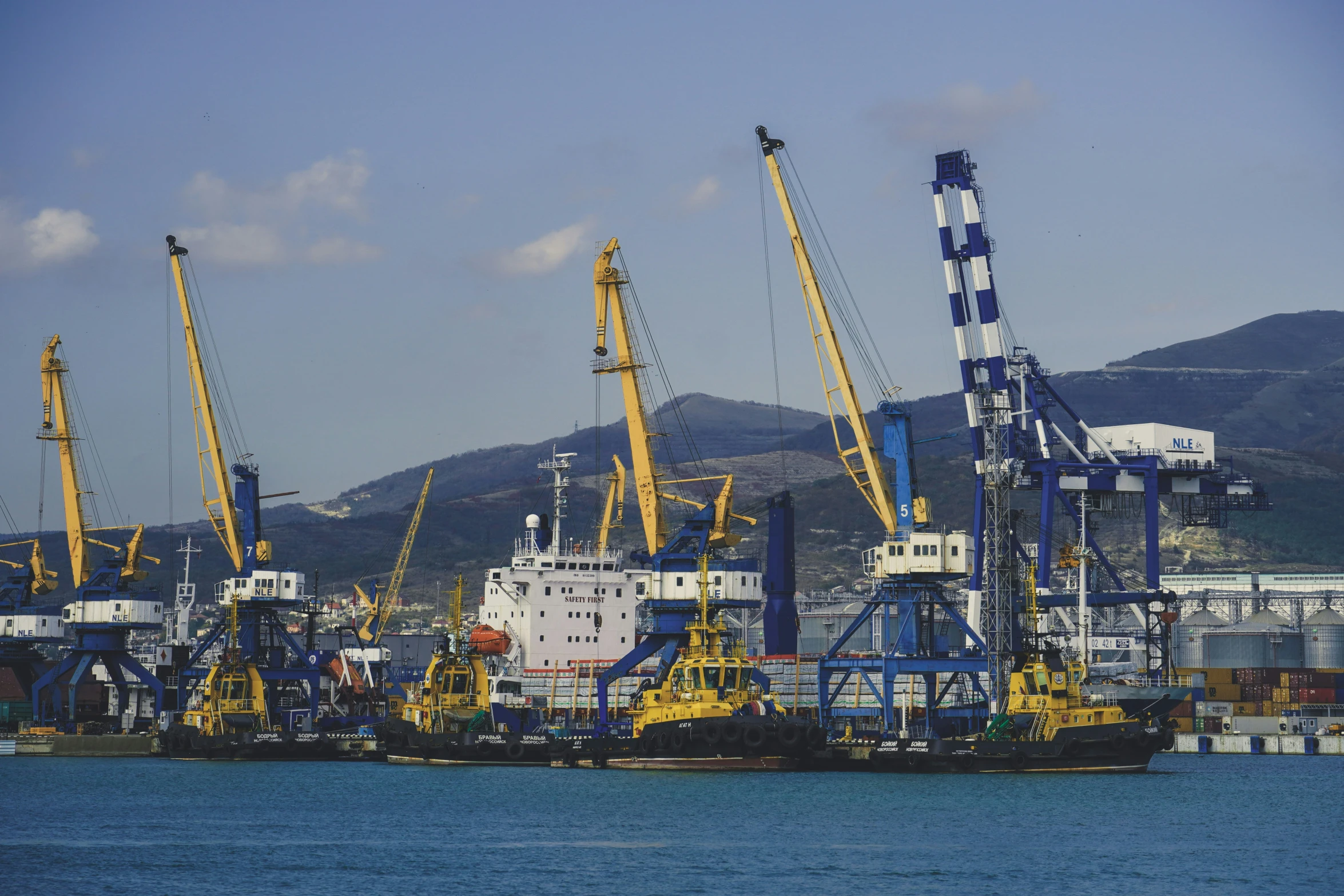 a group of cranes are sitting next to some water