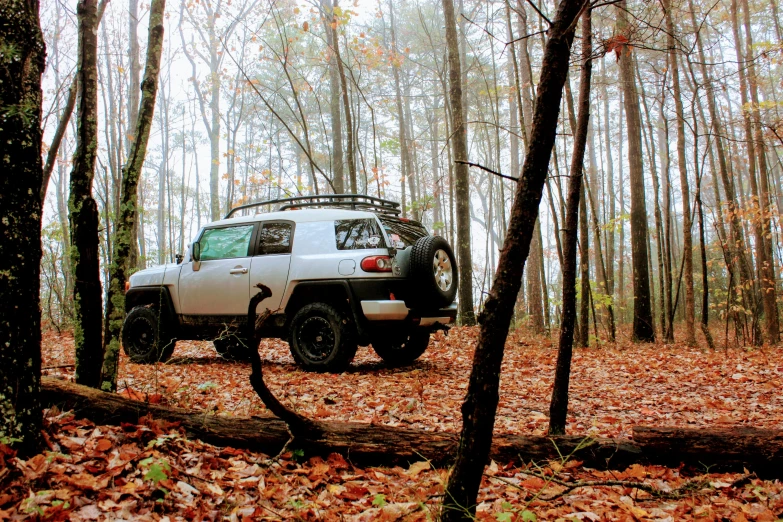 an suv is driving through the woods in its natural habitat