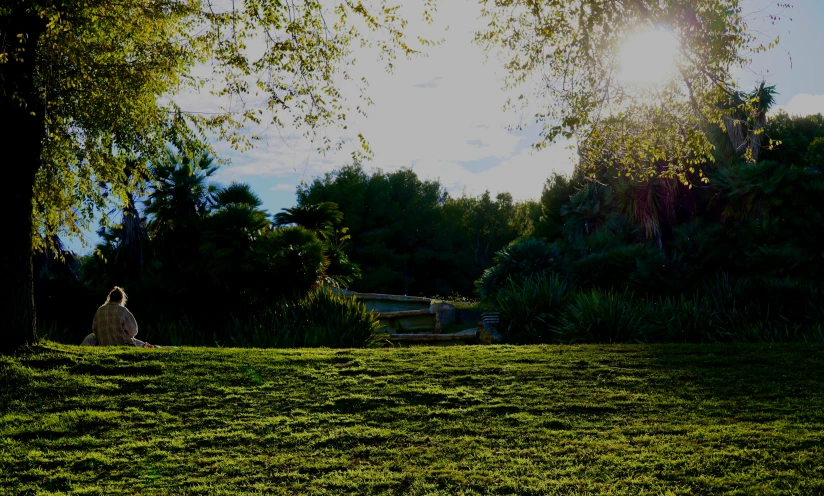 a person is sitting on the green grass and looking at soing