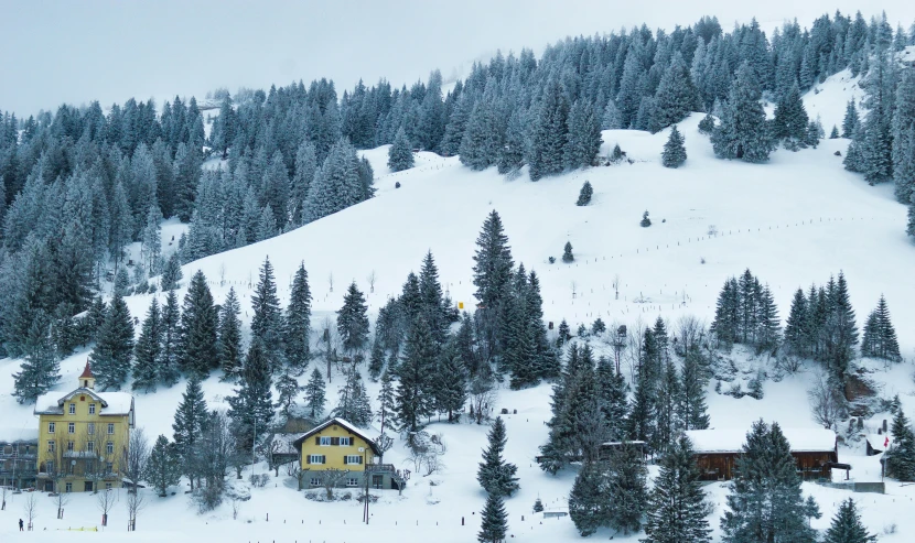 a snow covered mountain with trees and a house