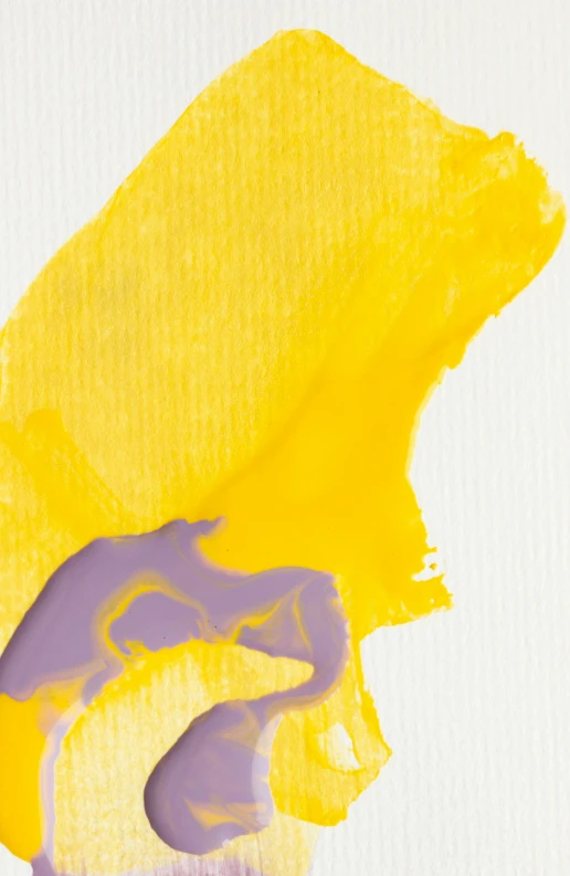 a purple bear on a yellow background next to a white backdrop