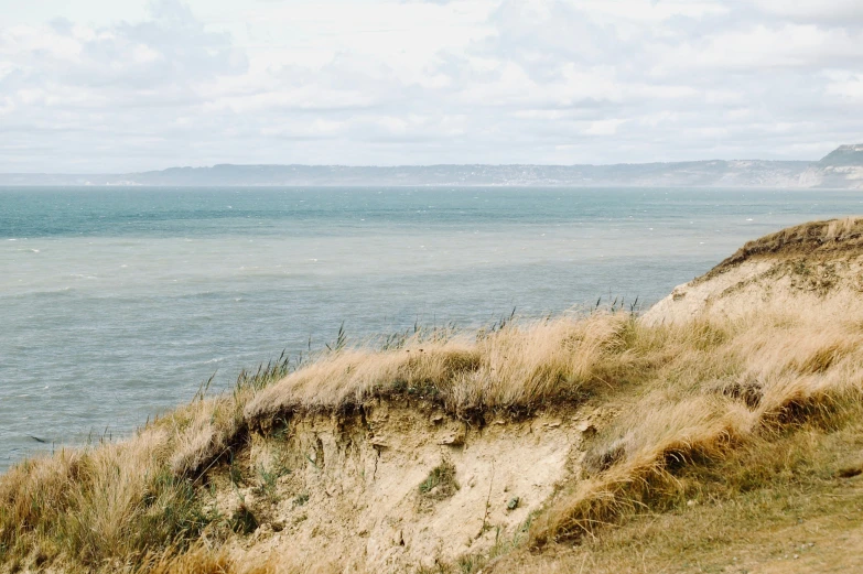 an ocean with grass and bushes on the side