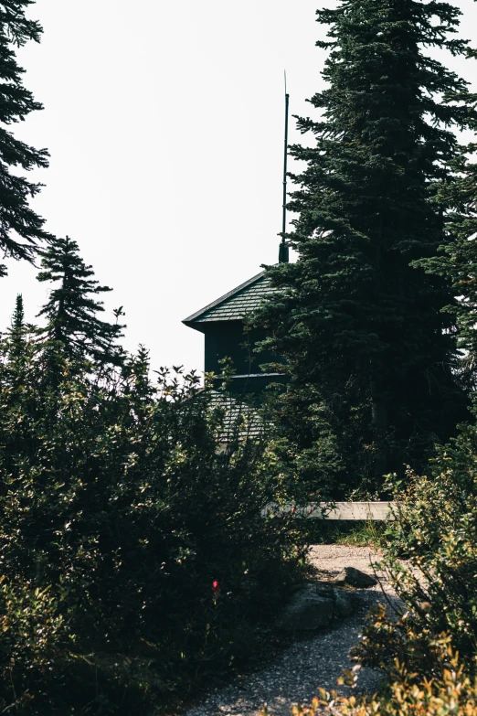 a building that is sitting on some trees