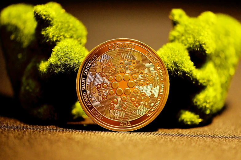 a bitcoin on the ground with two green grass behind it