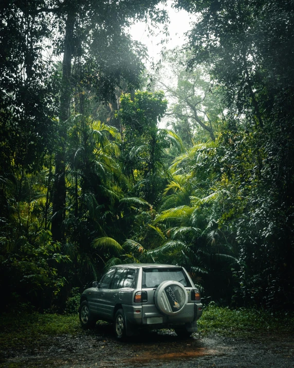 a car is driving on a gravel road in the forest