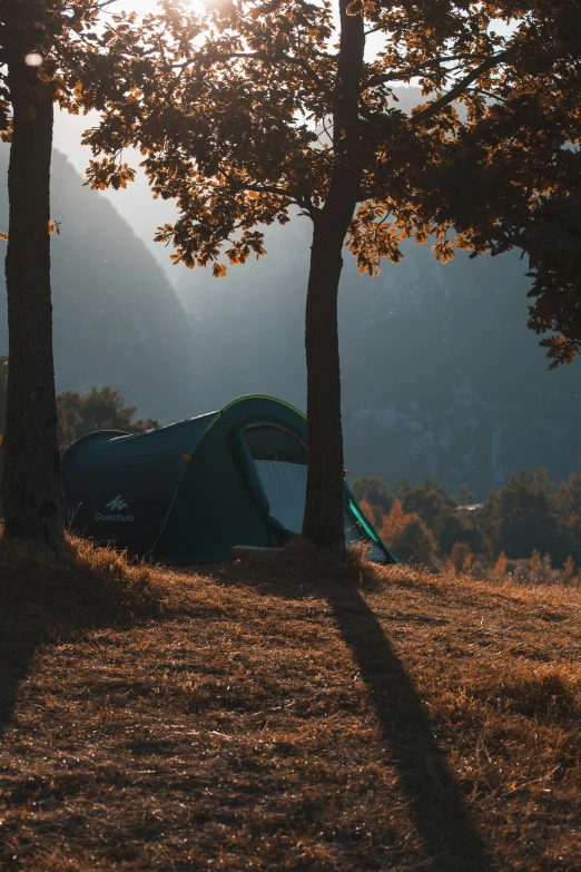 the camping tent is parked underneath two trees