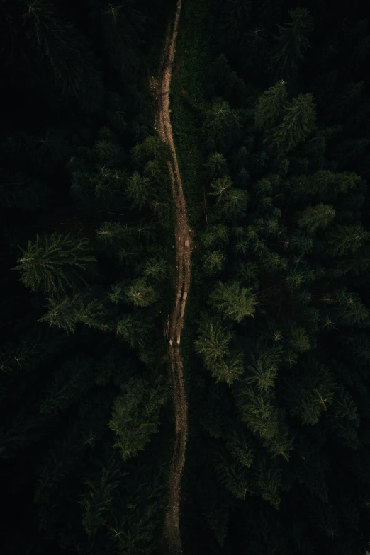 a truck parked in front of several tall trees